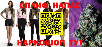прущие грибы Пугачёв