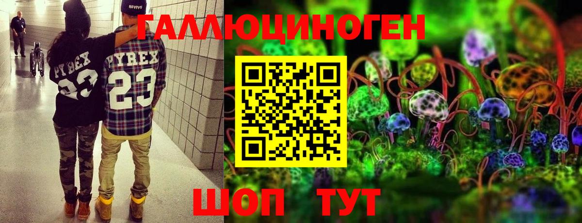 Волхов  Псилоцибиновые грибы мицелий  Вход с VPN 
