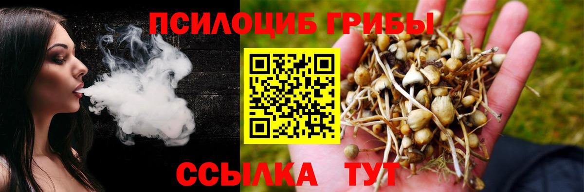 Галлюциногенные грибы прущие грибы Волхов